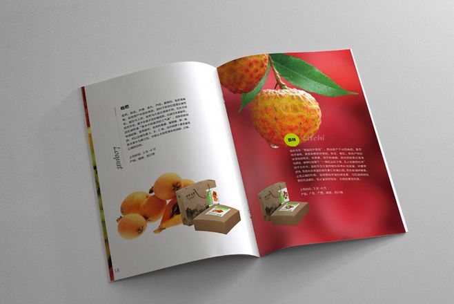 宣傳冊設(shè)計一般一頁多少錢？宣傳冊的特點有哪些？