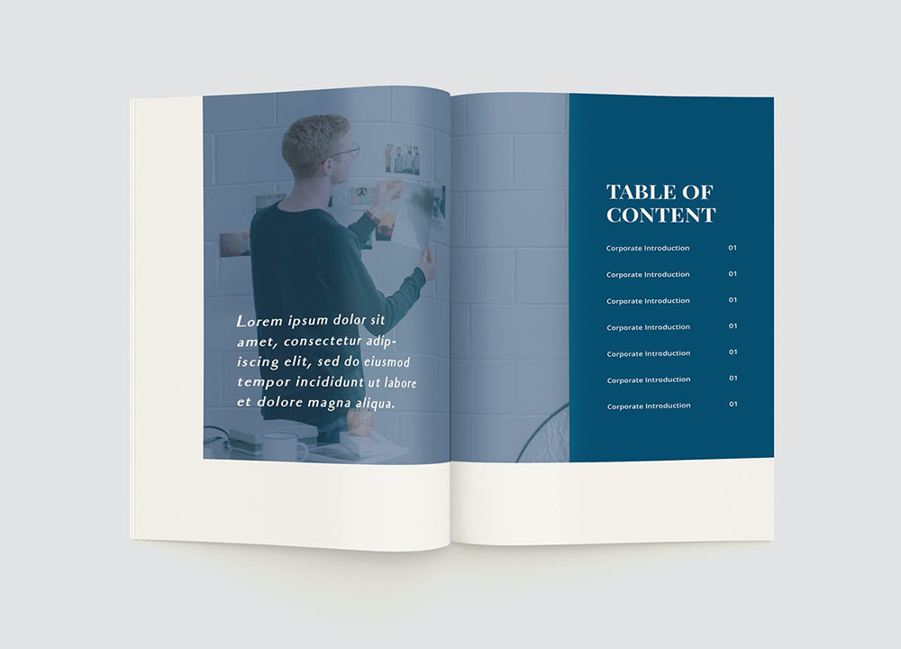 企業(yè)宣傳冊設計費用是多少？詳解企業(yè)畫冊設計的收費標準