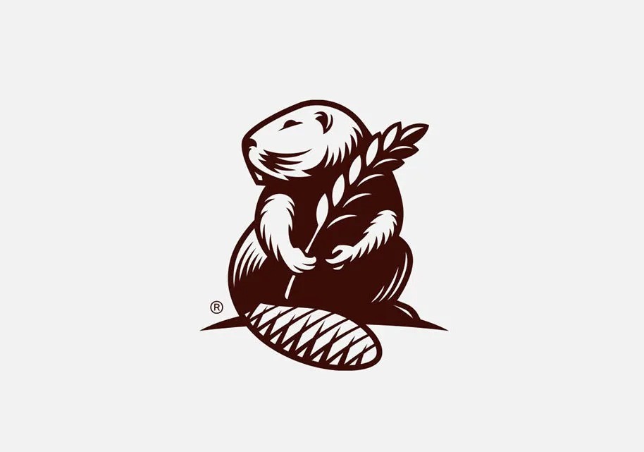 logo商標(biāo)設(shè)計(jì)要求有哪些？條件是什么