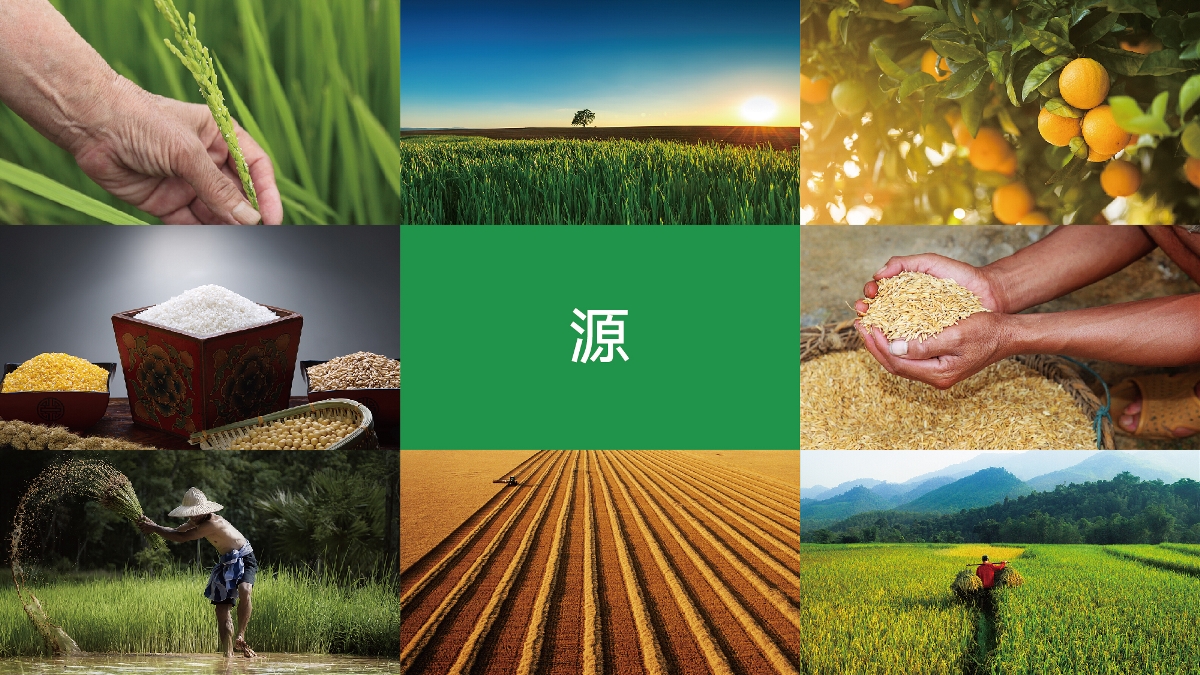 農(nóng)產(chǎn)品品牌設(shè)計(jì)技巧有哪些？怎樣塑造品牌形象