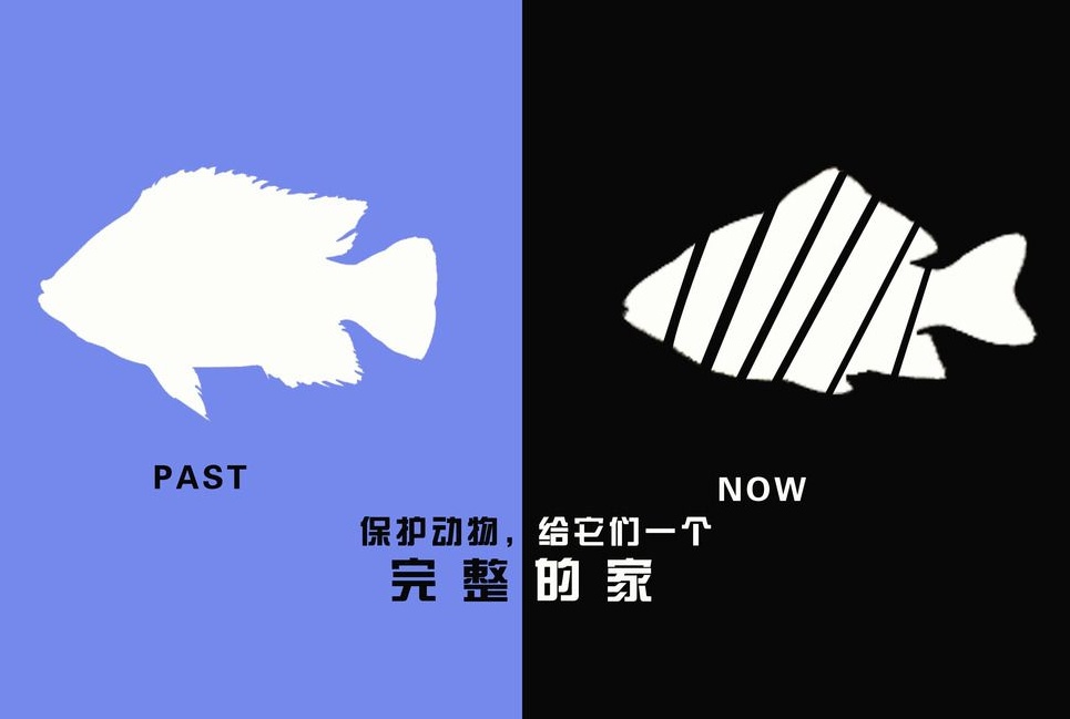 廣告設(shè)計(jì)制作有哪些要求？有哪些注意事項(xiàng)？