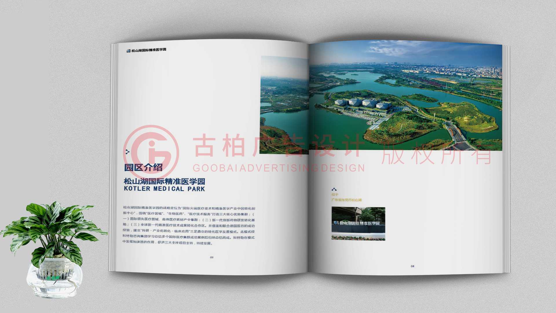 一本聚會紀(jì)念冊該如何通過排版來提升整體的美觀性？