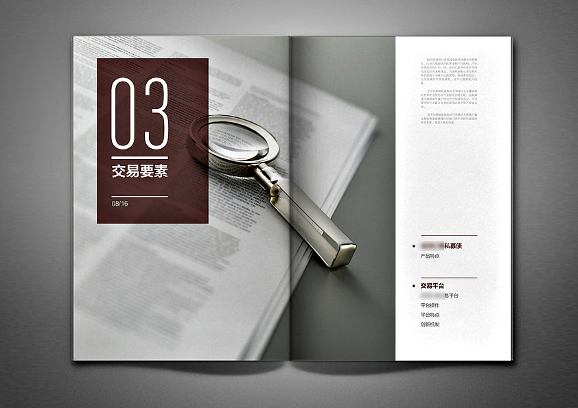 武漢企業(yè)畫冊設計有哪些戰(zhàn)略性攻略？